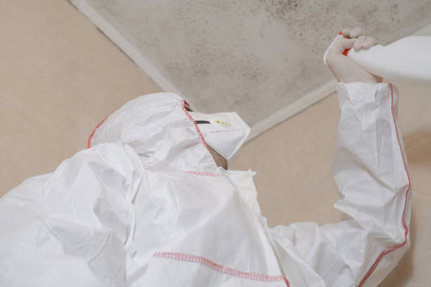 Best Mold Remediation for Specific Building Types in Alliae, NC